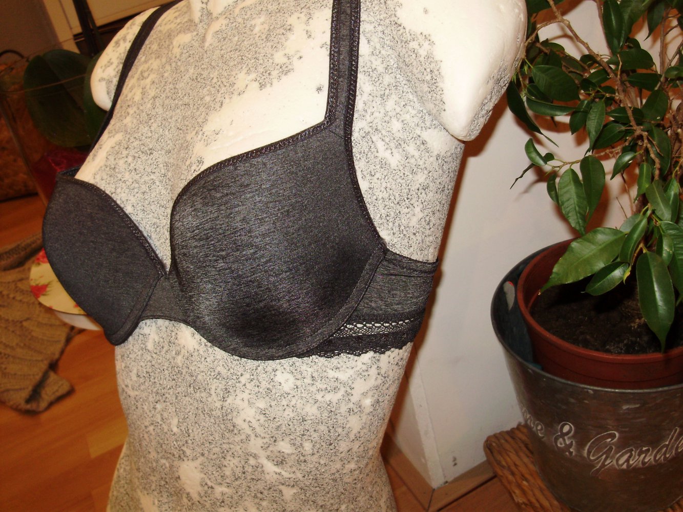 BH grau Spitze Pushup 75B
