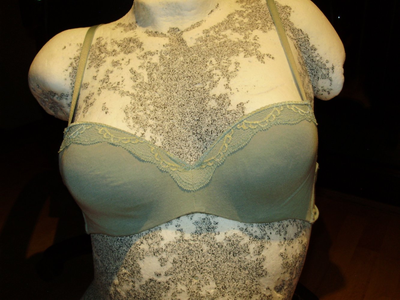 Gina Benotti BH salbei 75A wie neu