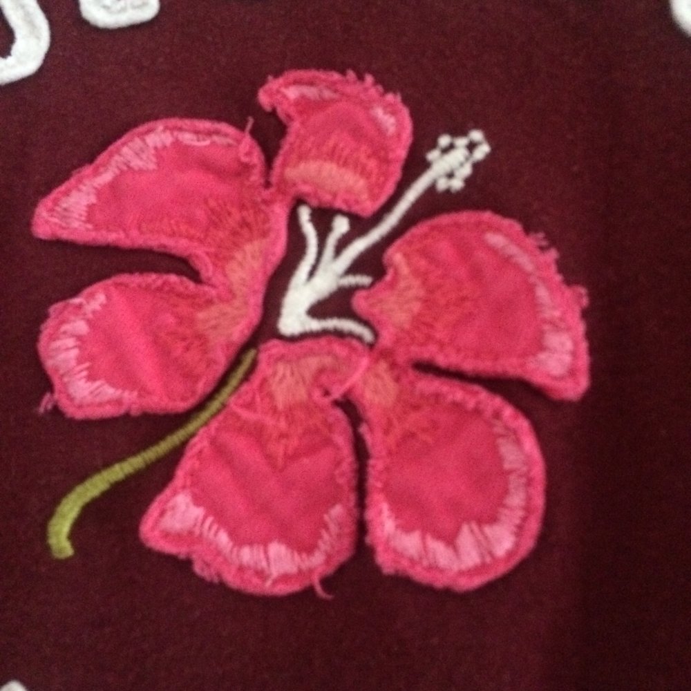 Burgundyfarbenes Hollister in Gr. S