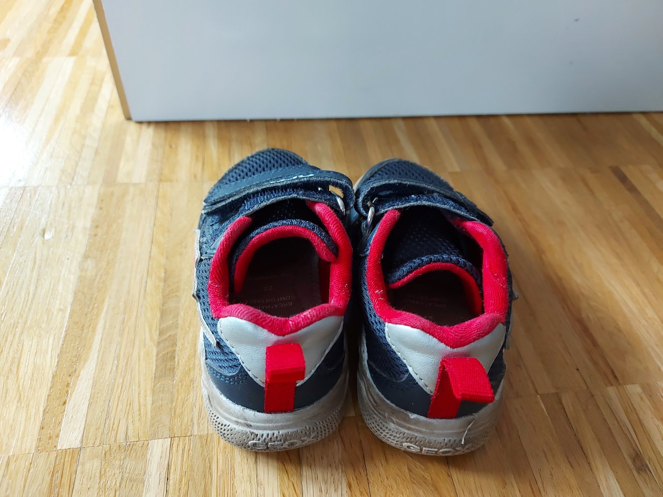 Kleinkind-Turnschuhe mit Klettverschluss von Geox, Gr. 22