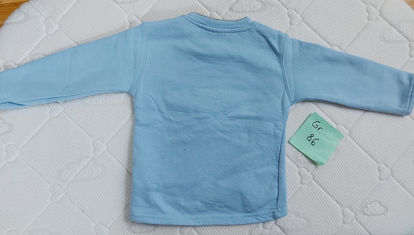 langärmliger hellblauer Babypullover mit Hundemotiv Love all the sports Gr. 86