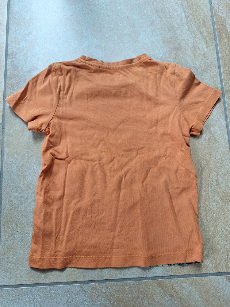 Oranges Kurzarm T-Shirt Gr. 110 mit Krokodil