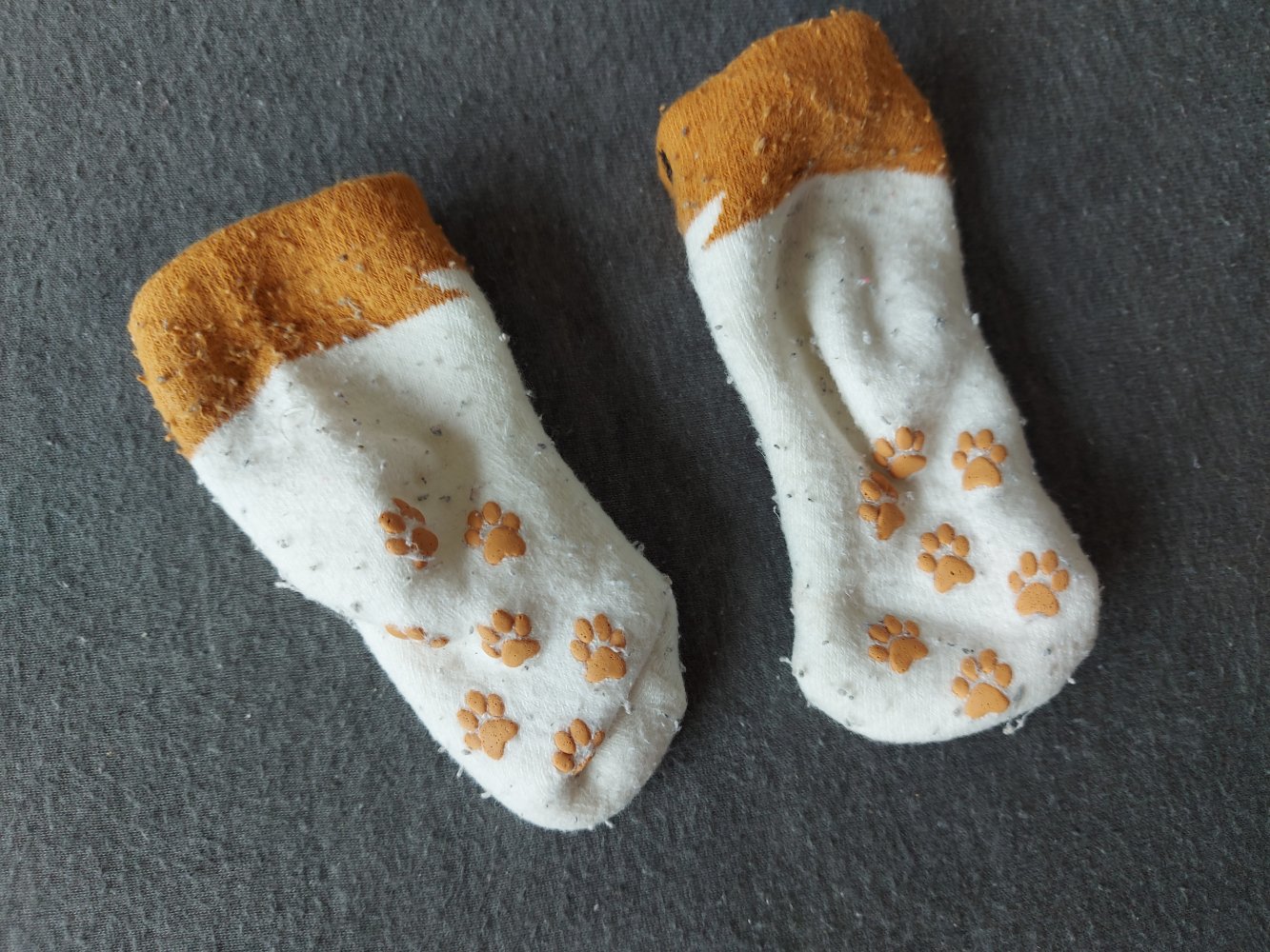 Weiß-orange Babysocken mit Fuchs für kleine Babyfüße mit Stoppernoppen