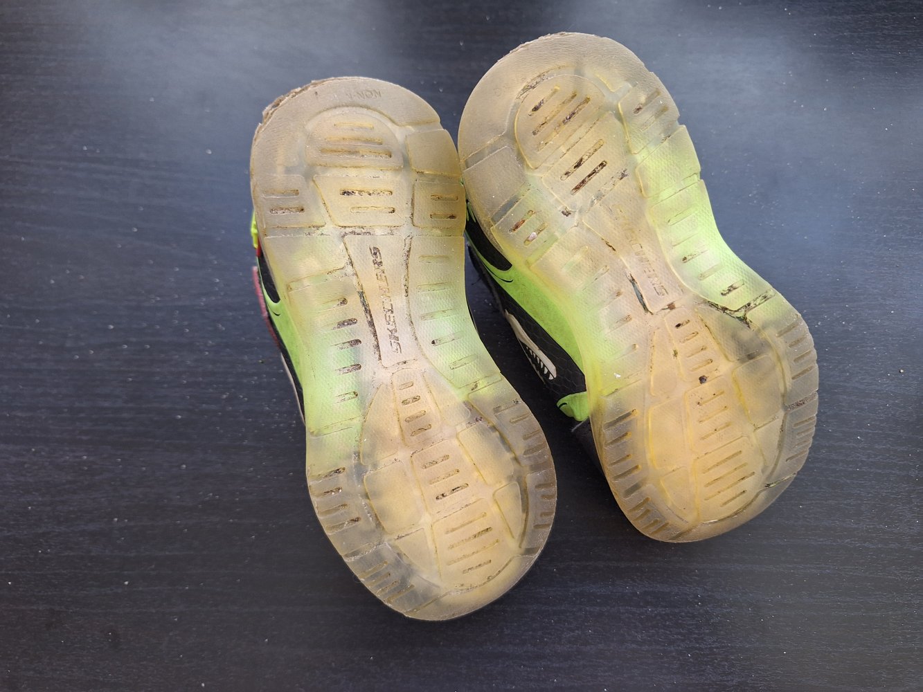 Kleinkind-Turnschuhe mit Klettverschluss Dinosaurier von Skechers, Gr. 23 Leuchtschuhe Sneaker S Lights: Illumi-Brights - Dino-Glo