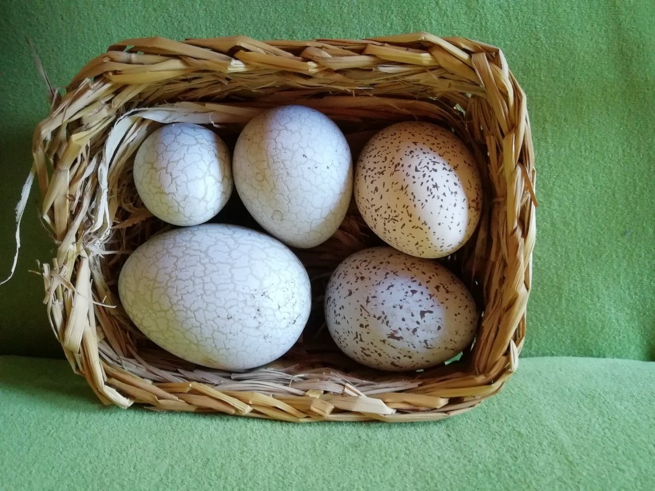  Deko-Osterkorb mit 5 Keramik-Dekoeiern TCM