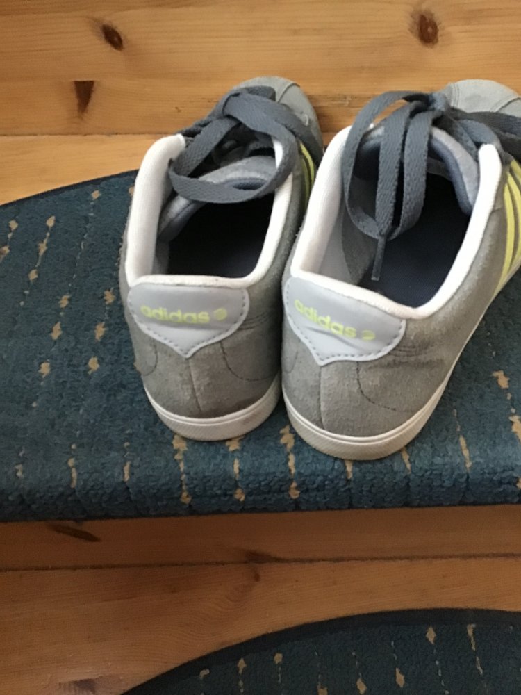 Adidas Sneakers