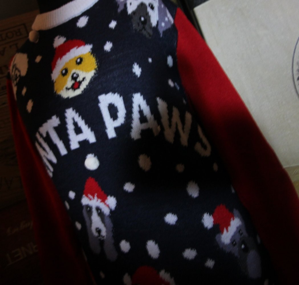 Weihnachtspulli Weihnachtspullover Santa Paws Hunde Animal xmas Herbst Winter