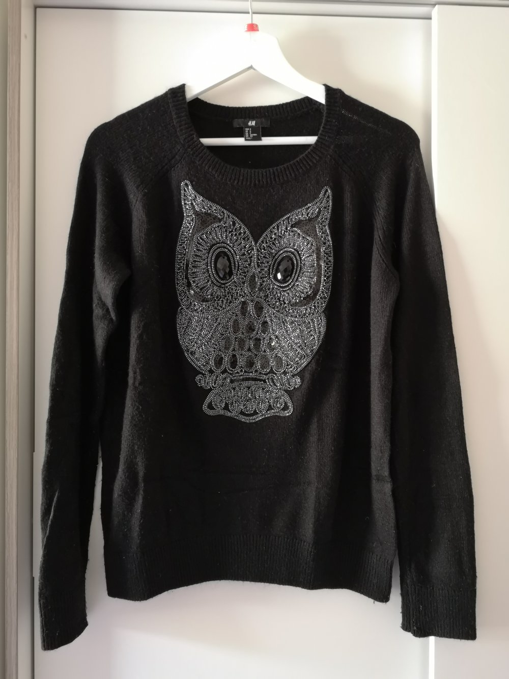 Eulen Pullover H&M