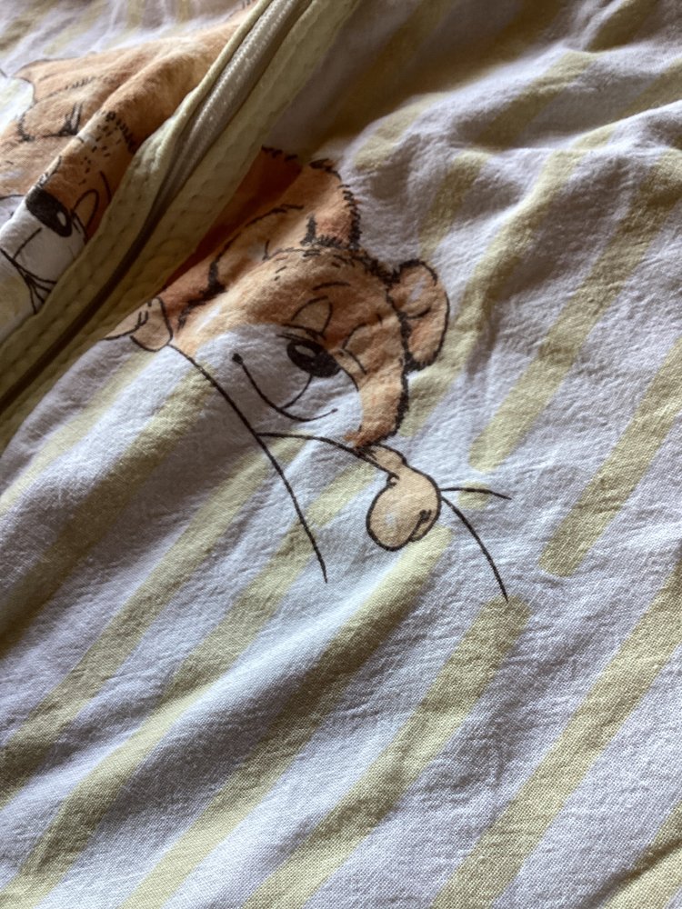 leichter Sommerschlafsack
